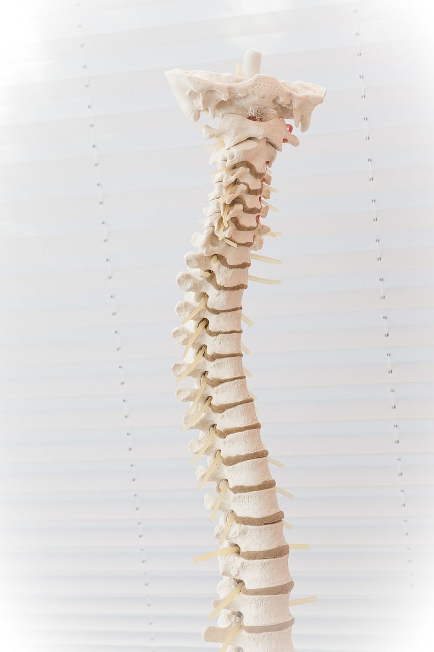 Symbolbild für Orthopädie
